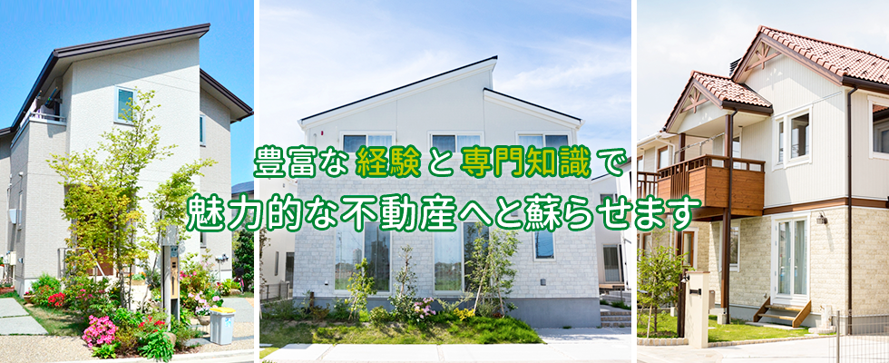 企業物　非売品　まとめ売り 24 ネイビー mita and Offspring Link Up for Adidas ZX 8000 Collab